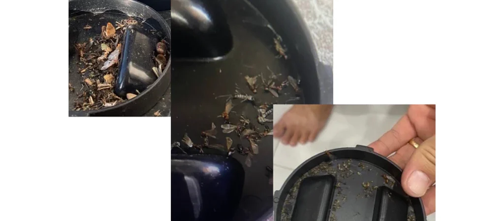 Cách chọn đèn bắt muỗi